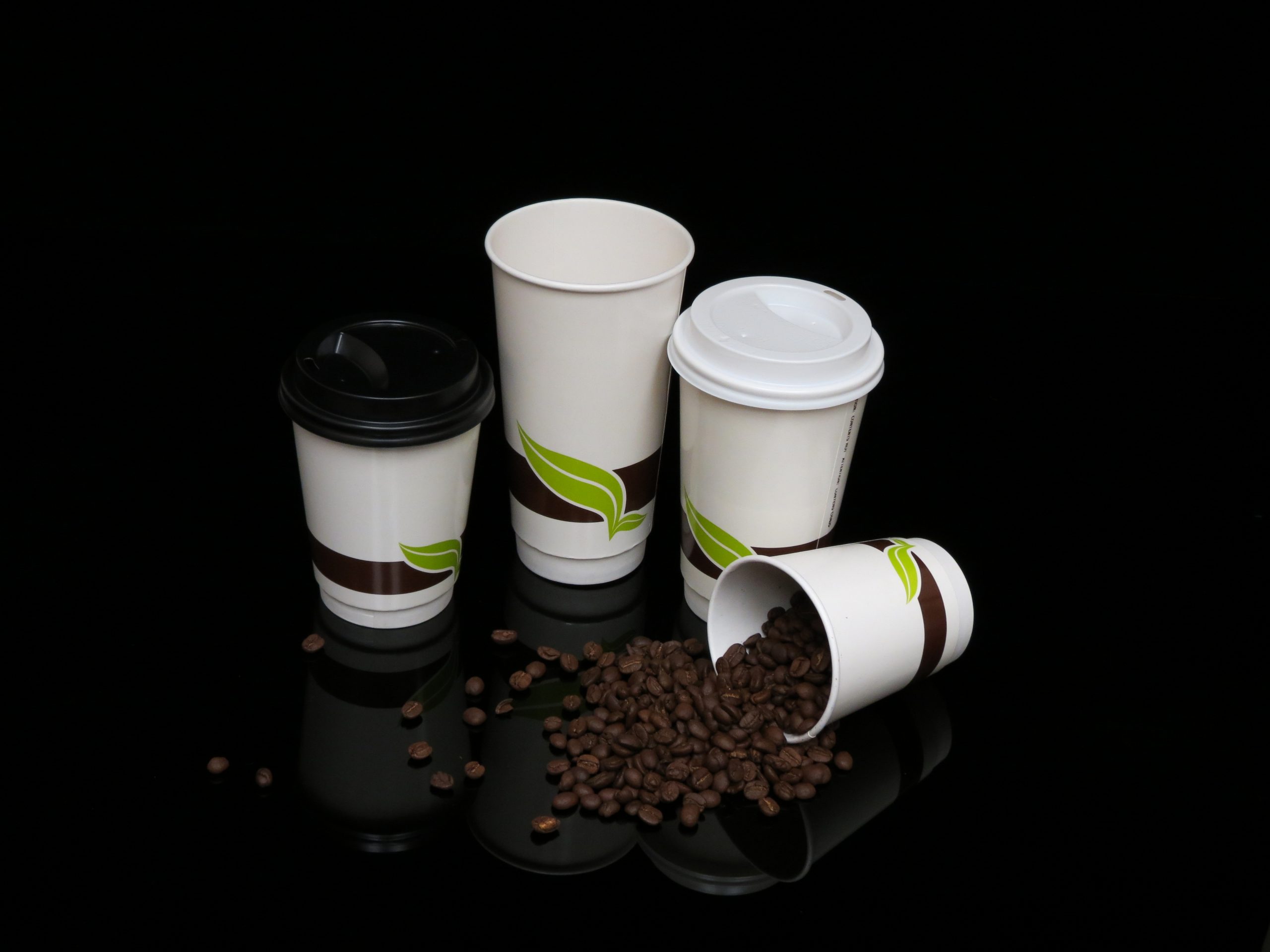 https://greencentury.ca/wp-content/uploads/2020/12/Group-Photo-of-Vista-Double-Wall-Paper-Cup-scaled.jpg